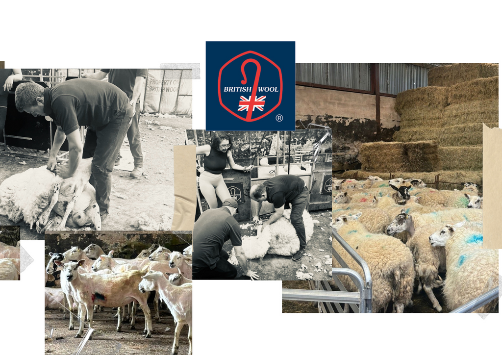 SHEEP SHEARING WITH BRITISH WOOL